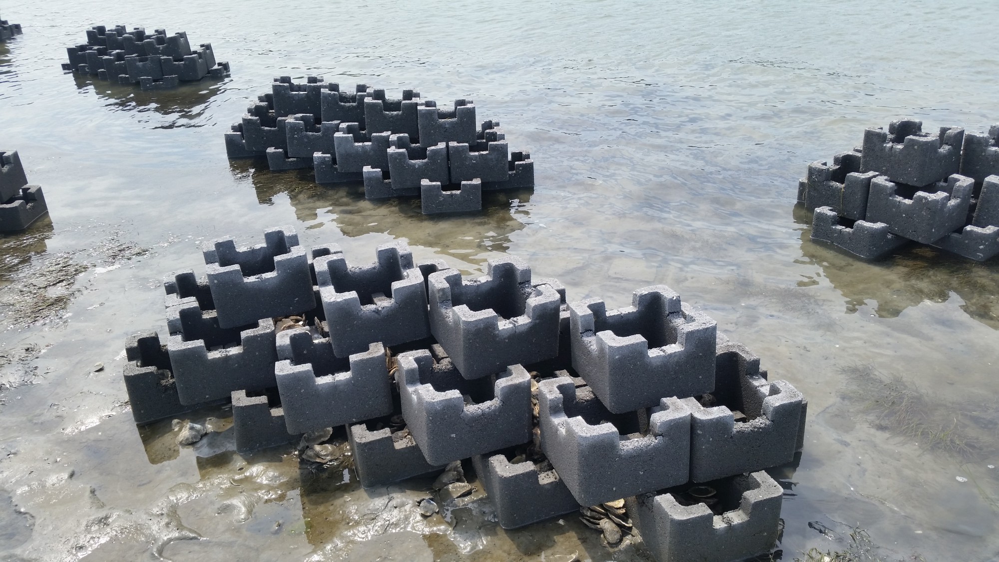 Oyster Castle Living Shoreline Project with the VMRC (4)